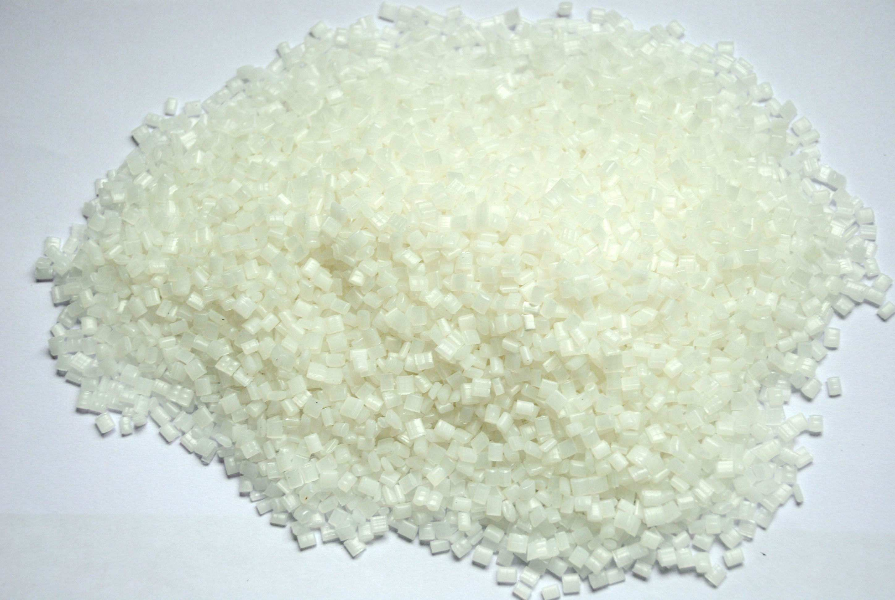 abs12.jpg
